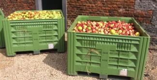 Jus de pomme